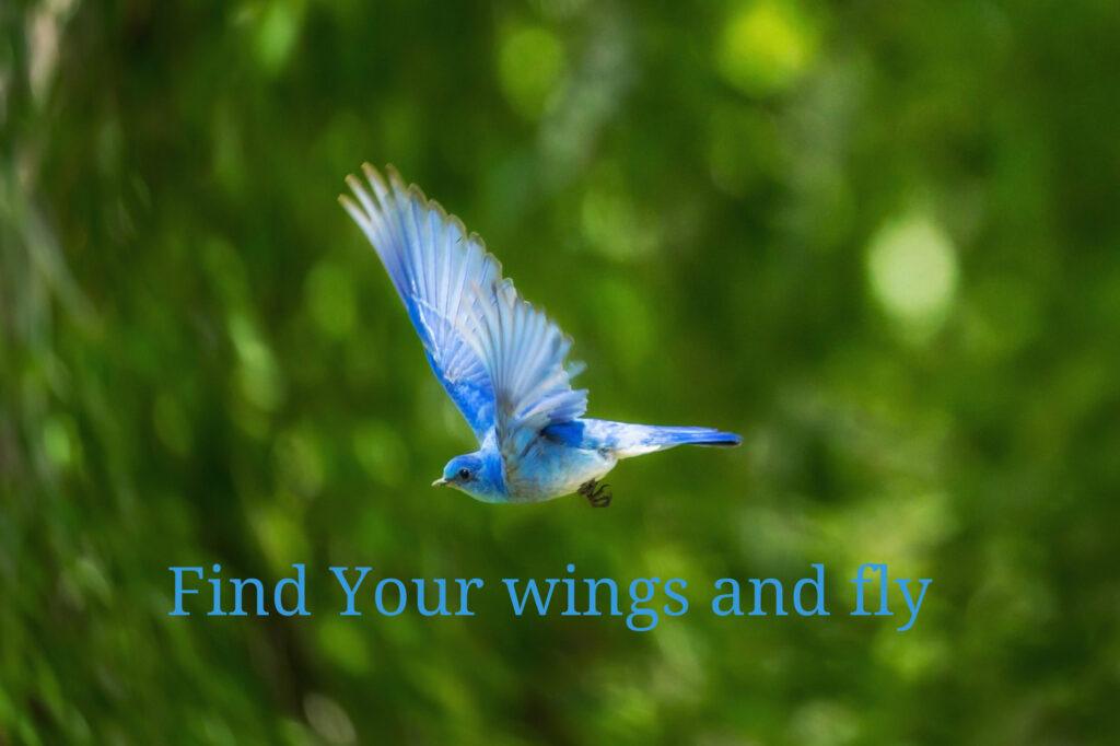 Spread your wings